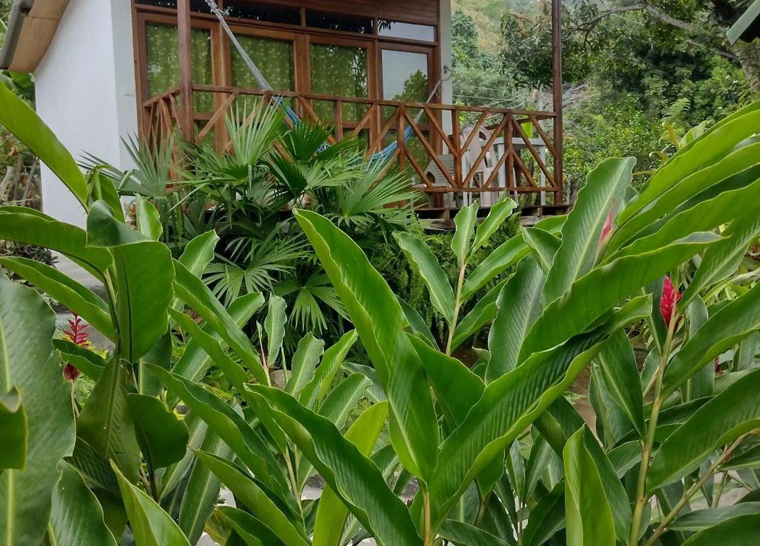 Villa Casa Kumake Tayrona à El Zaino